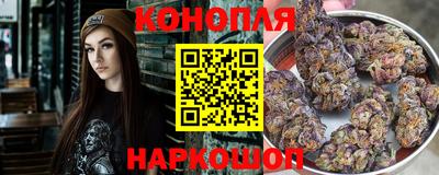 молекула духа Донской